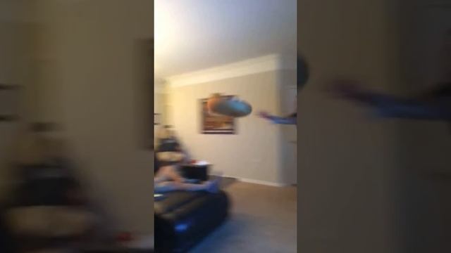 Donut throw 2 смотреть онлайн