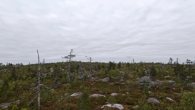 Воттоваара экспресс / Vottovaara Express