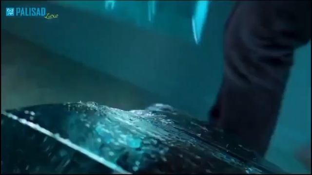 Снегоуборочные лопаты PALISAD смотреть онлайн