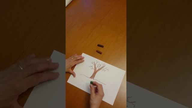 Внеурочное занятие по «Изо-коррекции» для обучающихся 3 «А» класса.(Видеоурок) смотреть онлайн