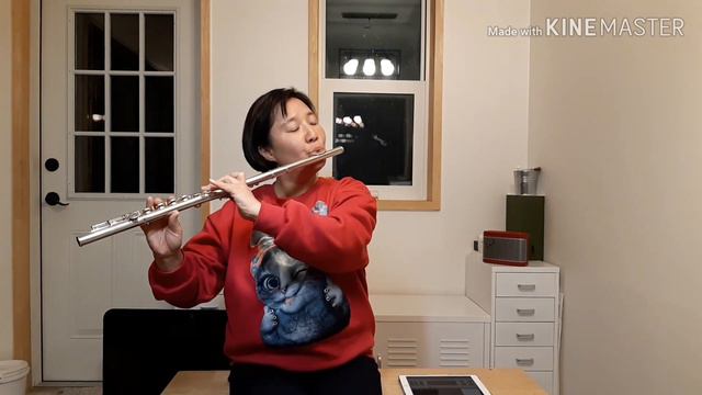 Yamaha Yfl 221 Flute (야마하 Yfl 221)로 연주한"크리스마스에는 축복을"~ Flute Cover 곡 смотреть онлайн