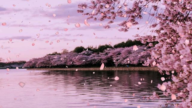 Flute Relaxing Music || Chinese Bamboo Flute ||💮🌸💮 смотреть онлайн