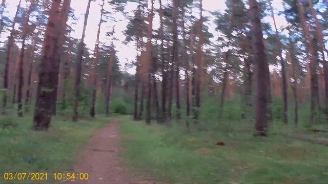 Лохин остров 5 смотреть онлайн