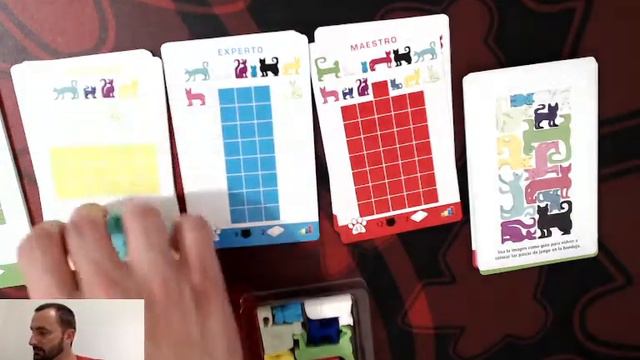 Reseña Cat Stax смотреть онлайн