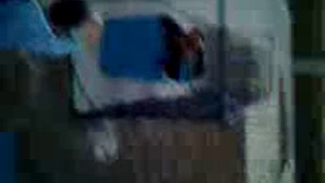 Медведь ЯНАО Мусорка.3gp смотреть онлайн