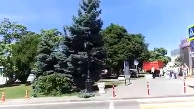 Среди бела, дня в центре славного когда-то города-героя Севастополя спилили голубую ель смотреть онлайн