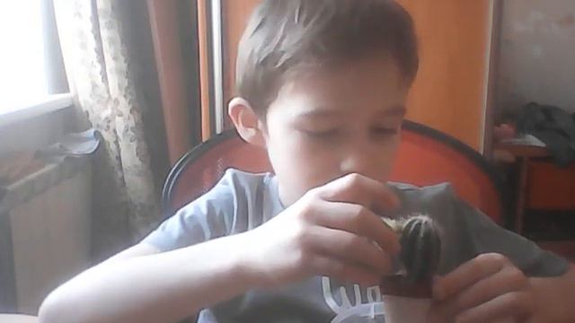 Видео про кактус. смотреть онлайн