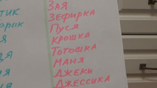 КАК НАЗВАТЬ ХОМЯКА ? / ХОМЯКИ / ХОМКИ / ВЫБРАТЬ ИМЯ ХОМЯКУ / ИМЯ ДЛЯ ХОМЯЧКА / ИМЯ ПИТОМЦУ смотреть онлайн