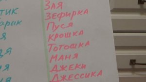 КАК НАЗВАТЬ ХОМЯКА ? / ХОМЯКИ / ХОМКИ / ВЫБРАТЬ ИМЯ ХОМЯКУ / ИМЯ ДЛЯ ХОМЯЧКА / ИМЯ ПИТОМЦУ