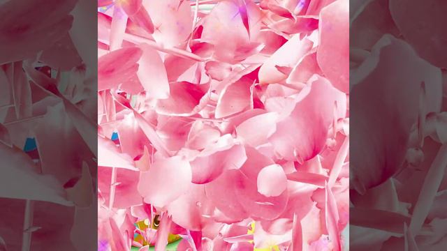 Feliz cumpleaños mí querida Nieta 🎊🎉 La mejor tarjeta virtual para compartir 🌹🌹❤ смотреть онлайн