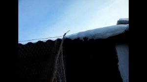 Рыболовная снасть - кривда (крыга)