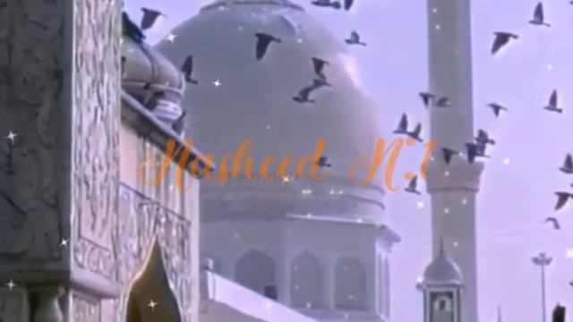 Nasheed 🌼🕌 Mustafa Mustafa.✨ Нашид Мустафа Мустафа #nasheed #нашид #mustafa смотреть онлайн