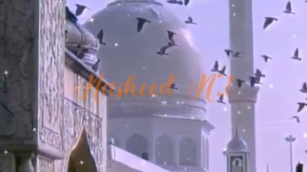 Nasheed 🌼🕌 Mustafa Mustafa.✨ Нашид Мустафа Мустафа #nasheed  #нашид #mustafa