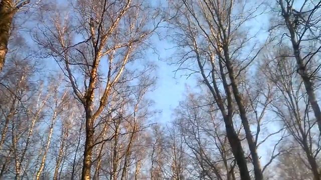 Прогулка с Анюткой в парке смотреть онлайн