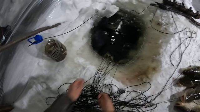 Проверка перемета 08.12.2022 смотреть онлайн