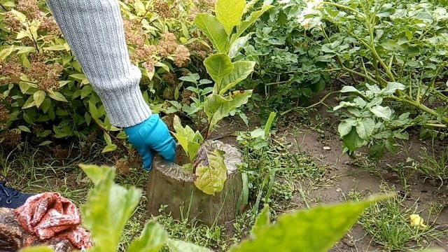 ЗАБОРЫ и ОГРАЖДЕНИЯ из ПЕНОПЛАСТА Многие Считают Это Абсурдом