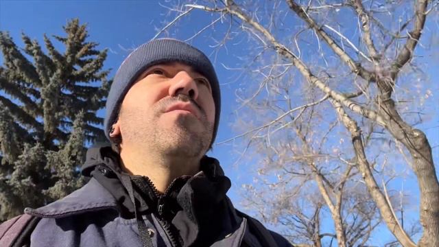 ИЩУ КВАРТИРУ|ЖИЛЬЁ В КАНАДЕ🇨🇦|ЧЕЛЕНДЖ|АЛЬБЕРТА|ЭДМОНТОН #канада #эдмонтон #україна смотреть онлайн