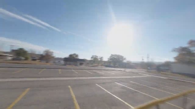 DJI 03 Air Unit 120FPS Test - Cinematic Leaves In Slow Mo (OddityRC Xi25)