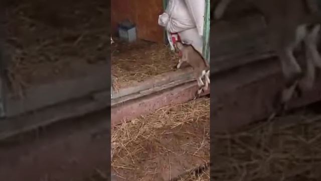 Награда за упорство - ПОБЕДА!!!?☝️??? смотреть онлайн