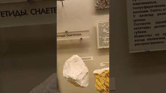 Я в палеонтологическом музее! смотреть онлайн