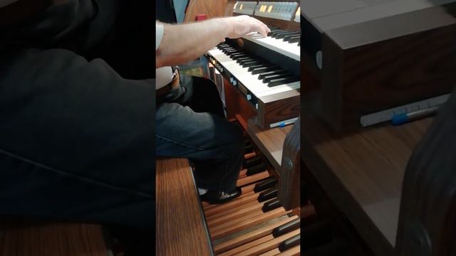 Бах Хоральная прелюдия смотреть онлайн