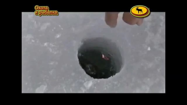 Ловля карася зимой на мормышку Рыбалка в декабре, январе, феврале смотреть онлайн