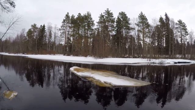Дача выходной 28 03 20