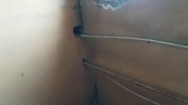 Дмш октябрьского района Караганда 2017 смотреть онлайн