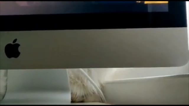 GO AWAY! I'm Trying To Watch Good Fellas | Michael Rapaport | Wilfred Warrior смотреть онлайн