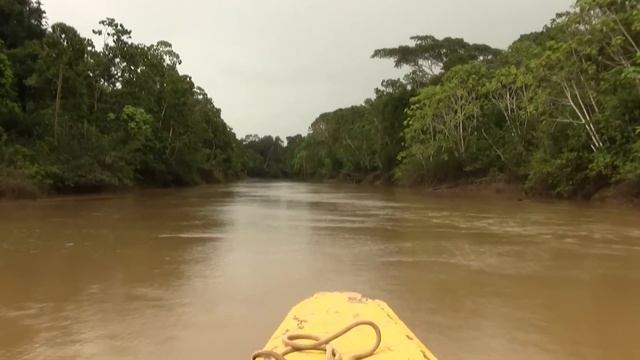 River; Rainforest; Amazonia. Река, Экваториальный лес, Амазония (1805sp) смотреть онлайн