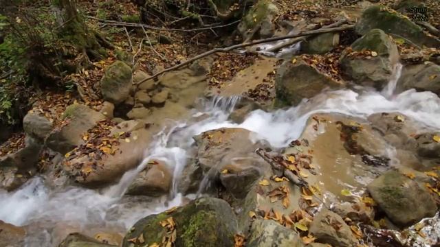 Стихи Татьяна Тищенко ( Левицкая ). Читает Валентин Карманов. смотреть онлайн