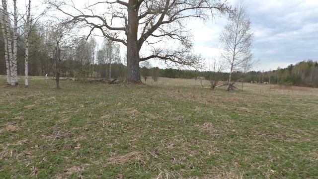 Что осталось от старой деревни? смотреть онлайн