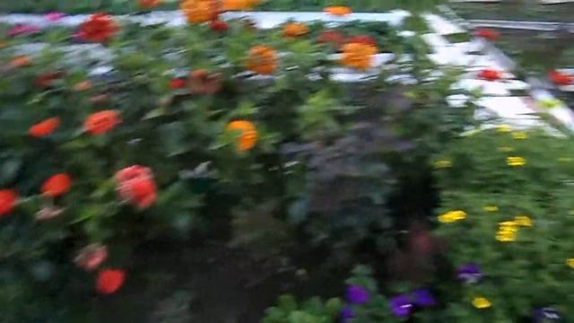 12 соток смотреть онлайн