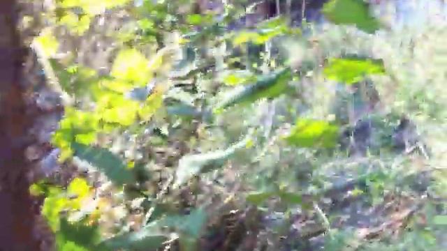 Продажа участка 3 сотки в районе Ласточкиного гнезда смотреть онлайн