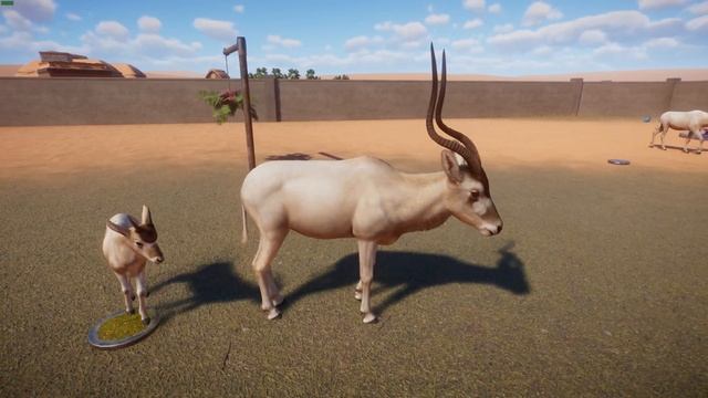 Planet Zoo: Arid Animal Pack Animal Review Part 1 смотреть онлайн
