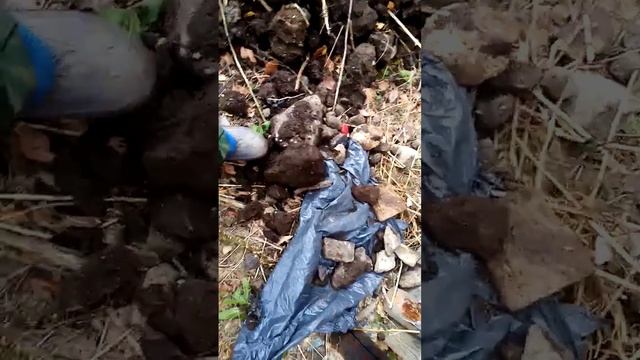 (18+)Камни в почках у коровы смотреть онлайн