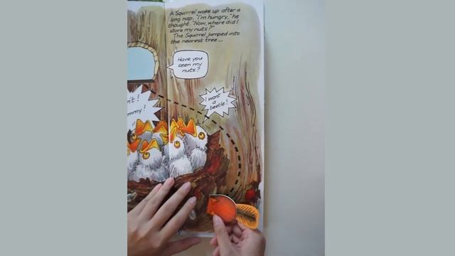 Usborne - Squirrel's Tale, A смотреть онлайн