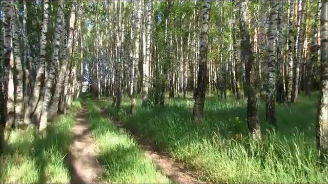 ,,Мне нравятся люди...,,читает Татьяна Розыева смотреть онлайн