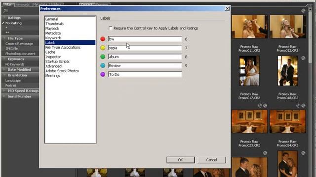 Photoshop CS3 Bridge - Labels, Keywords & Ratings смотреть онлайн