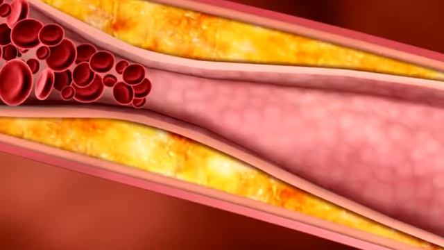 САМЫЙ ПОЛЕЗНЫЙ ПРОДУКТ ДЛЯ ЧЕЛОВЕКА смотреть онлайн