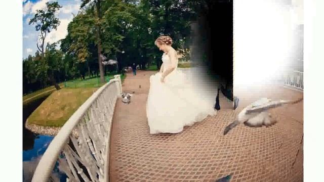 Свадебные Фото Спб смотреть онлайн