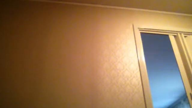 почиму хомяки кусаются и мои медали смотреть онлайн