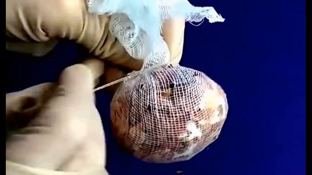 Как покрасить яйца луковой шелухой на Пасху в домашних условиях. Луковая шелуха для яиц на Пасху смотреть онлайн