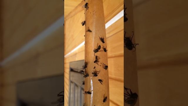 Самые любимые позы на кровати 🫣😁.