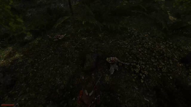 Gothic 2 c DX 11: Город #2 смотреть онлайн