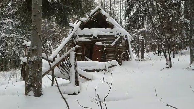 Пчеловодство дорога на пасеку 1 января 2020 года Как зимуют пчёлы смотреть онлайн