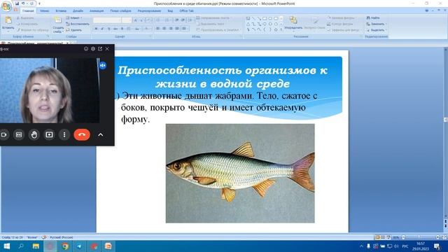 Приспособления организмов к среде обитания смотреть онлайн