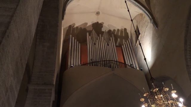 Tallinn орган смотреть онлайн