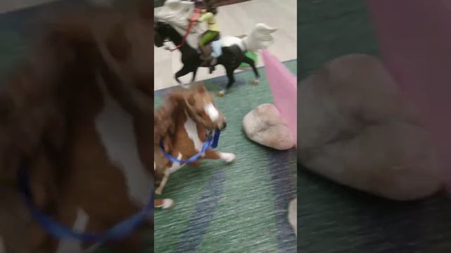 для шляйхер серая смотреть онлайн