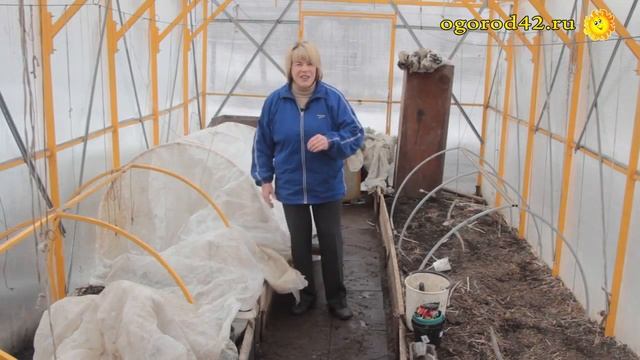 В апреле работа в теплице кипит: черенкование хризантем, деление георгинов смотреть онлайн